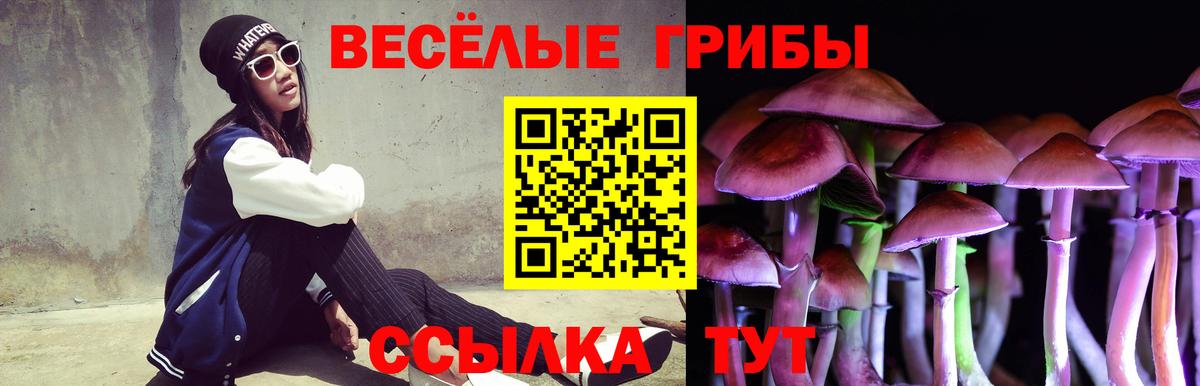 Псилоцибиновые грибы Psilocybine cubensis  Вход с VPN  Ижевск 